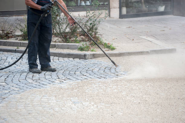 Best Roof Cleaning and Mildew Removal in Eudora, AR